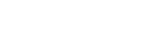 our team